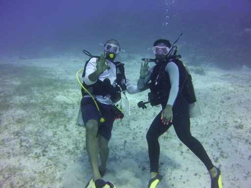 Dive Expedition