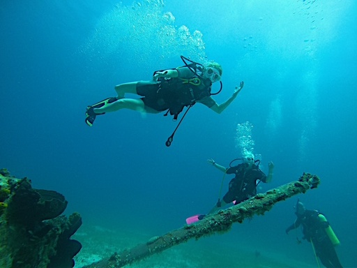 Double Dive Expedition